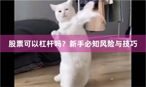 股票可以杠杆吗？新手必知风险与技巧